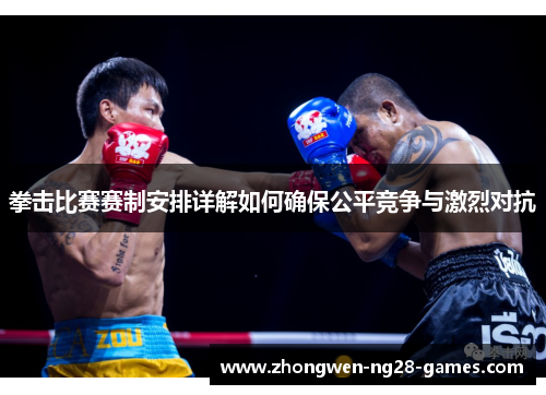 拳击比赛赛制安排详解如何确保公平竞争与激烈对抗