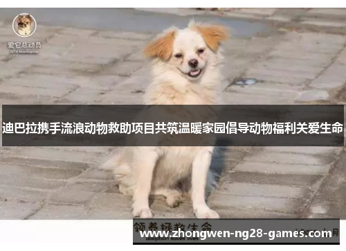 迪巴拉携手流浪动物救助项目共筑温暖家园倡导动物福利关爱生命